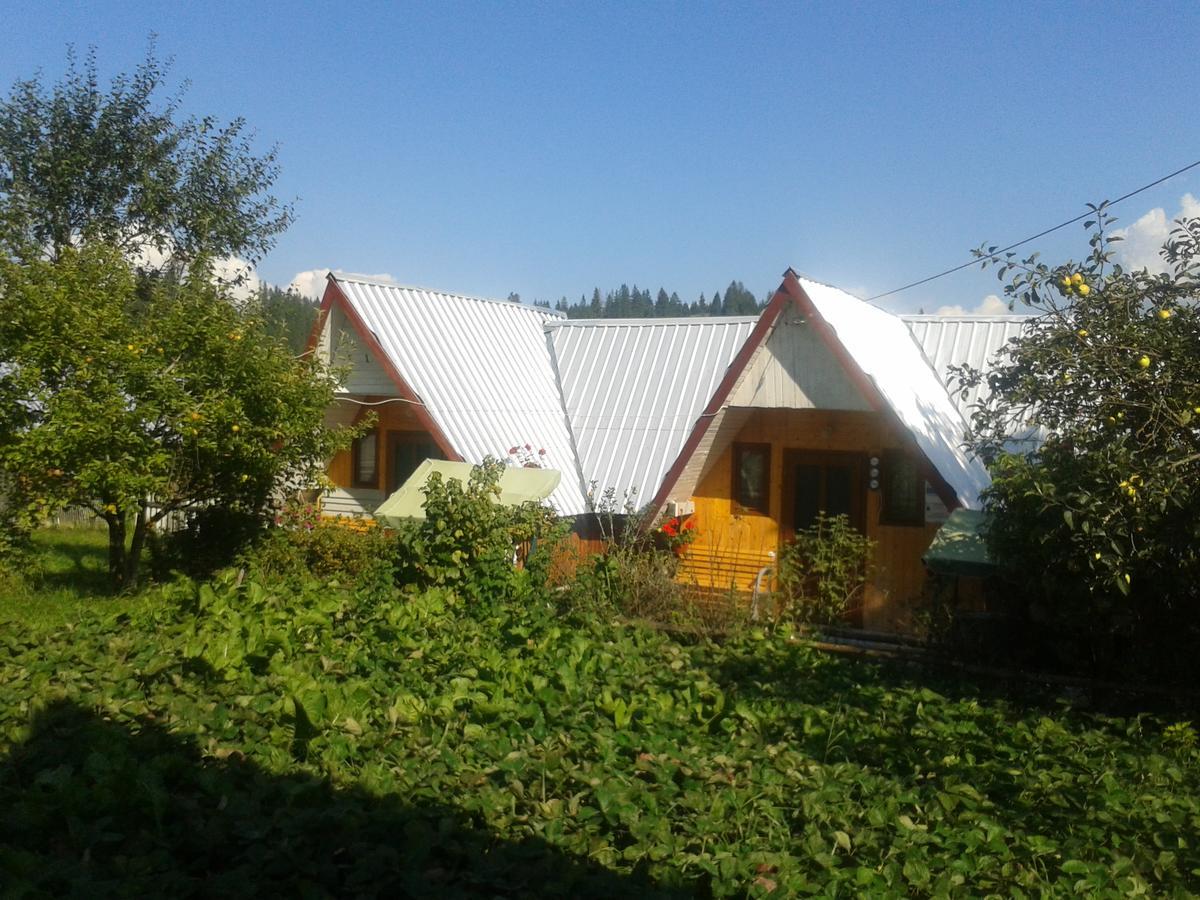 Casa Florea Poiana Stampei Luaran gambar