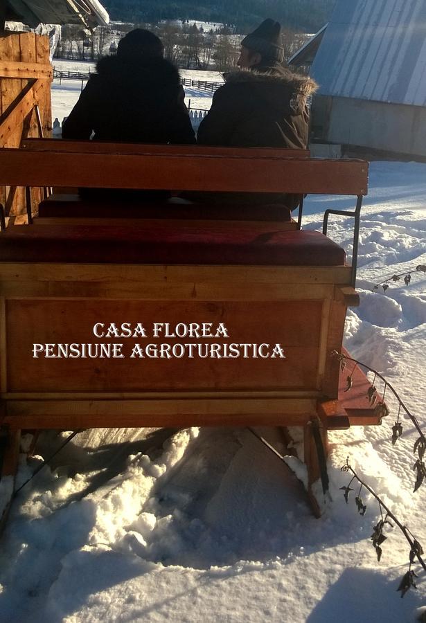 Casa Florea Poiana Stampei Luaran gambar